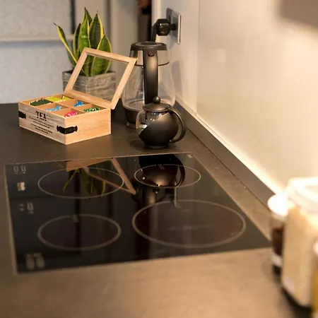 Apartment Special Retreat & Home-office & Workplace Basel