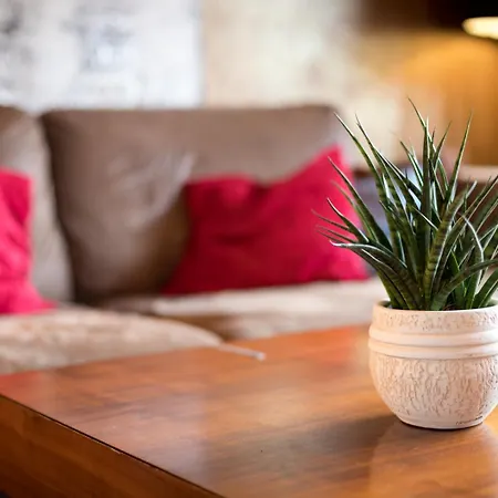 Special Retreat & Home-office & Workplace